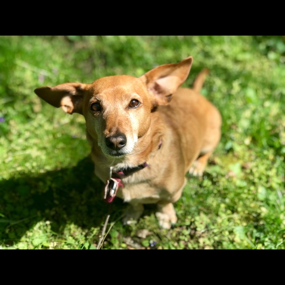 Meet your Posher, Stephanie - Picture 8 of 16